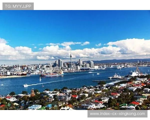 新西兰保持稳定发挥，整体结构合理