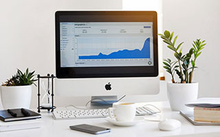 NBA全明星投票开启，球迷热情高涨，nba全明星投票规则说明